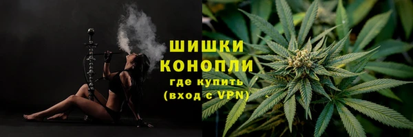 соль курить ск Ельня