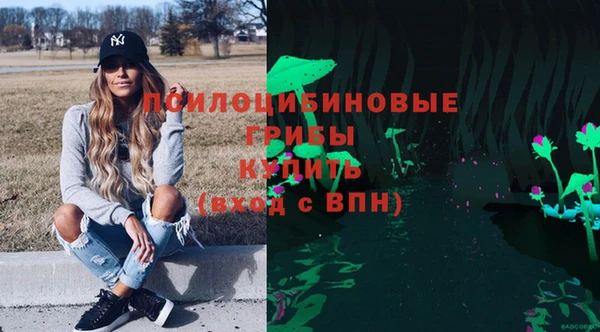 соль курить ск Ельня