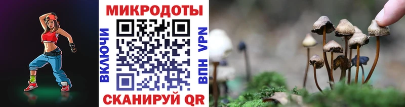 Галлюциногенные грибы Cubensis  Чистополь 